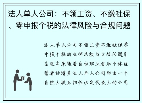 法人单人公司：不领工资、不缴社保、零申报个税的法律风险与合规问题